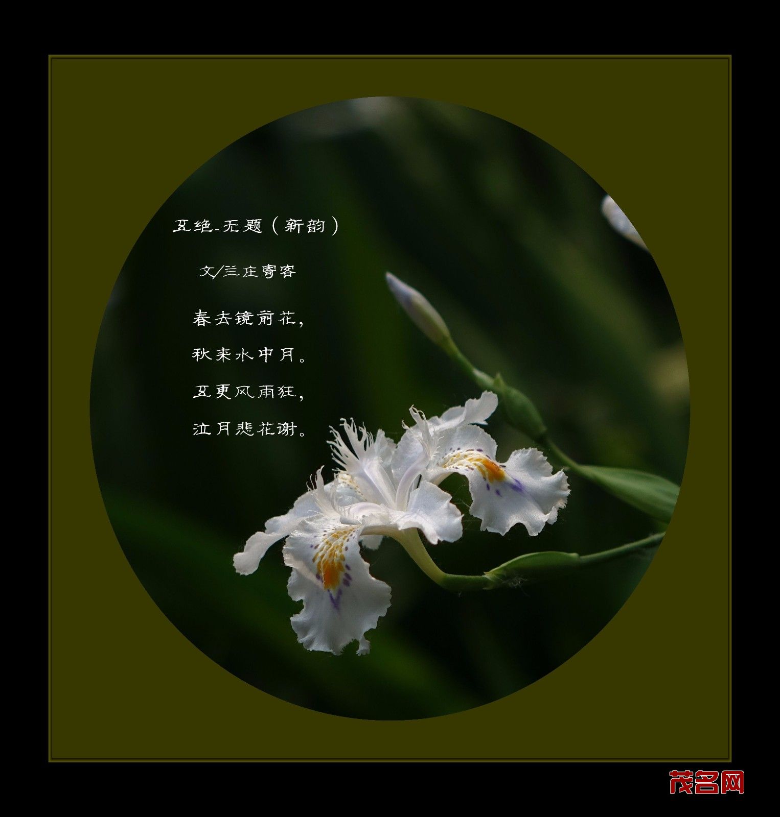 五绝春去镜前花副本.jpg