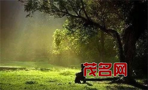 c7f43be881d943378d821a1815ba965b时光.jpeg