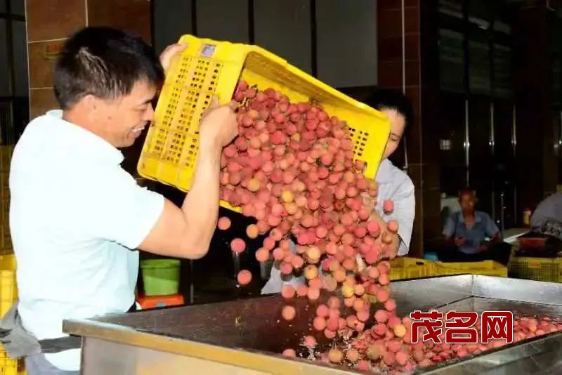1629600382888471.jpg 微信图片_20210822103950.jpg