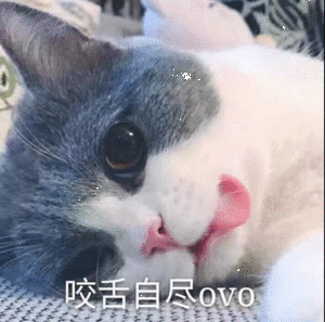 云朵琪琪